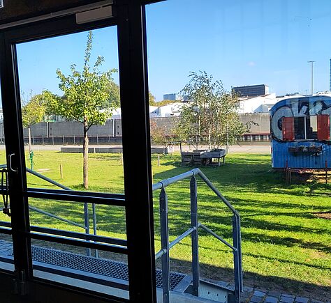 Blick durch große Glasscheiben auf das Außengelände: grüner Rasen mit 2 jungen Bäumen drauf, auf dem rechts ein blauer Bauwagen steht. Im Hintergrund die hohen grauen Spundwände des gegenüber liegenden Ufers der Elbe