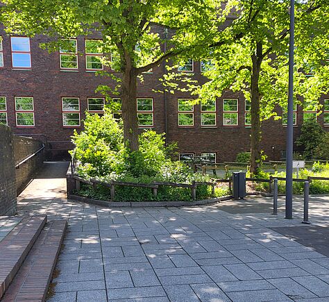 Vor einem Haus liegen breite graue Wegeplatten. Links ist die Rampe mit Handlauf, die zickzackförmig zum Eingang des FEH führt. Rechts neben der Rampe steht ein Baum mit Büschen drumherum. Rechts davon, neben einem Laternenmast ein kleines weißes Rollischild. Links im Bild sind 2 flache Stufen zu erkennen.