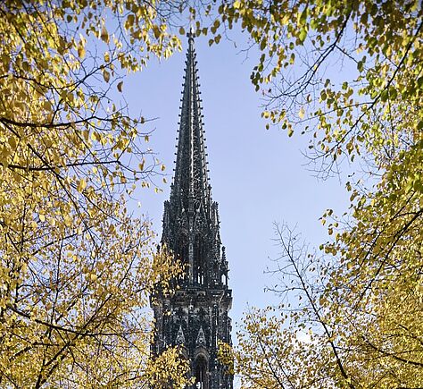 Ein hoher, schlanker Kirchturm aus dunklem, verwittertem Stein mit vielen feinen Verzierungen und spitzen Details. Dahinter ist ein heller Himmel zu sehen, der von Ästen und gelben Blättern umrahmt wird.