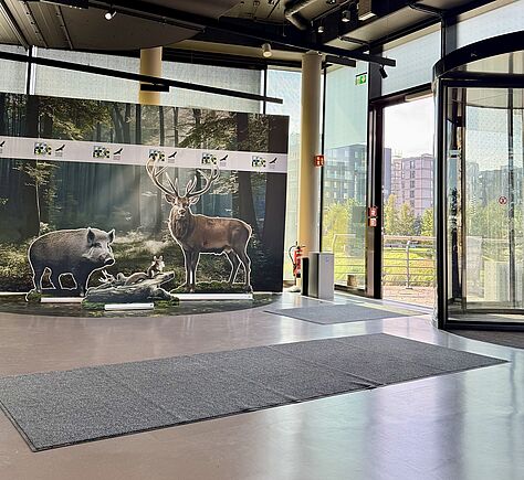 Im Eingangsbereich eines modernen Gebäudes stehen vor einem Waldhintergrund naturgetreue Abbildungen eines Wildschweins und eines Hirschs. Rechts befinden sich eine gläserne Drehtür und eine geöffnete Eingangstür, davor liegen graue Matten auf dem glatten Boden.