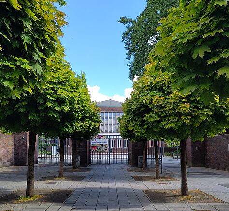 Breite Allee mit gepflastertem Weg und dicht stehenden Bäumen auf beiden Seiten. Am Ende der Allee stehen ein Tor und ein großes Backsteingebäude mit hohen Fenstern, der Weg dorthin ist eben.