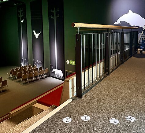 Im Vordergrund sind auf einem Teppichboden weiße Pfotenabdrücken, die in Richtung einer Treppe und rotgepolsterten Sitzbänken führen. Rechts begrenzt ein Metallgeländer mit rundem Holzhandlauf den oberen Bereich. Im unteren Bereich sind mehrere Reihen hellbrauner Stühle zu sehen. Die Wände sind dunkelgrün mit großformatigen, weißen Tiermotiven. 